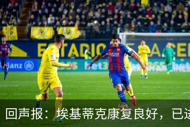 回声报：埃基蒂克康复良好，已进行部分有球训练