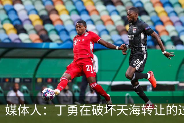 媒体人：丁勇在破坏天海转让的过程中曾拉刘奕下水