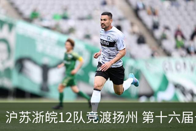 沪苏浙皖12队竞渡扬州 第十六届长三角龙舟赛擂鼓开桨