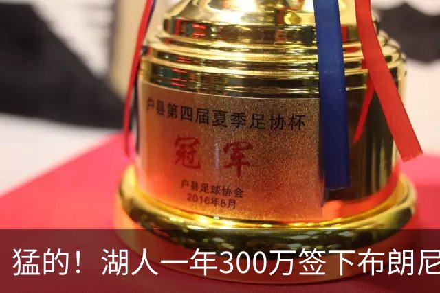 猛的！湖人一年300万签下布朗尼大哥！